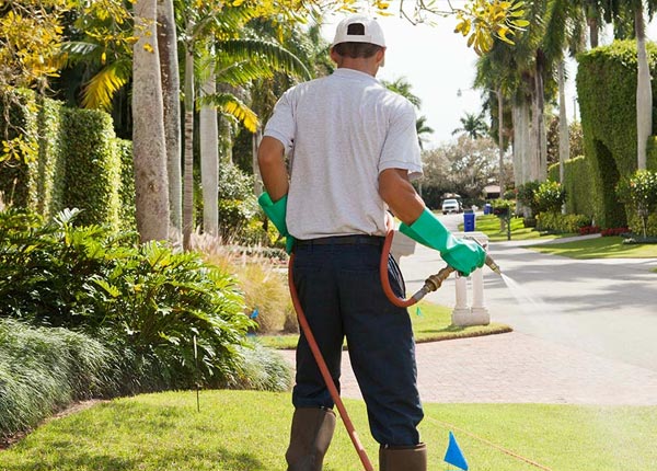 About Bovard PA Pest Control